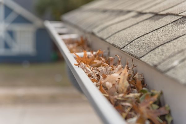 Leaf Barrier Installation in South Zanesville